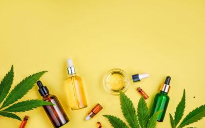 Heartening News for CBD Online Store Owners: Amazing CBD Statistics You Must Know!