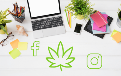 Importance and Tips of Social Media Marketing for Your Cannabis Dispensary