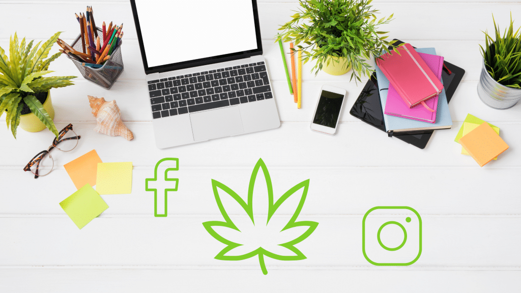 Importance and Tips of Social Media Marketing for Your Cannabis Dispensary
